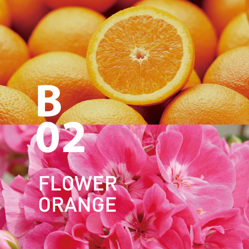 B02 フラワーオレンジ 10ml