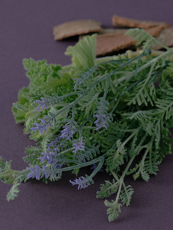 頭痛ーるアロマ ナイトケア