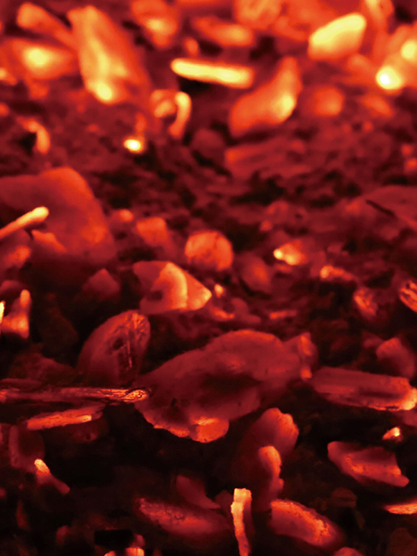 C06 ウォームフィー