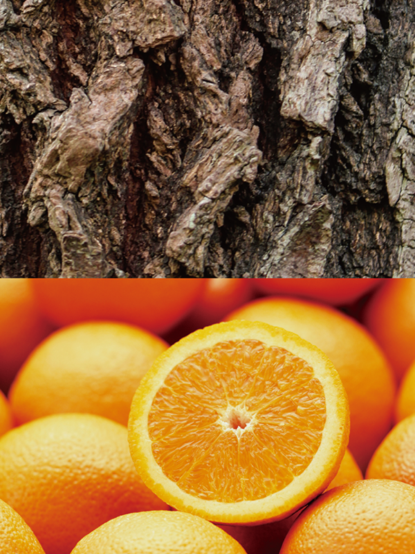 ホーウッドオレンジ