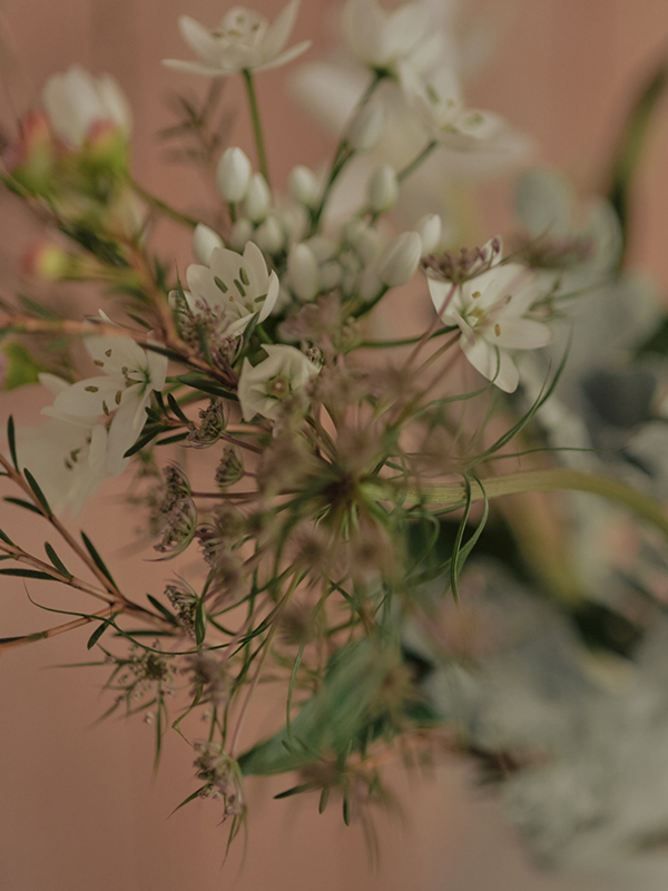 SPRING MOMENT トワイライト