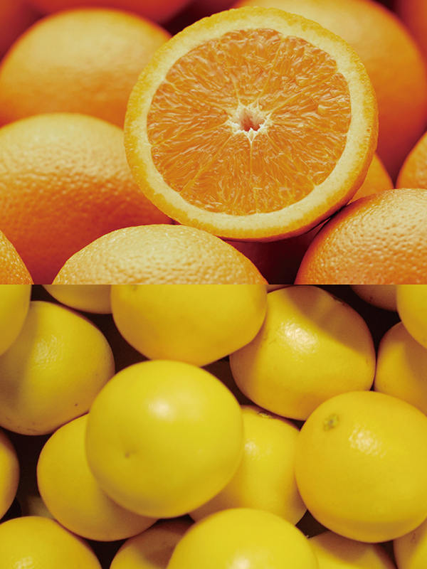 B01 オレンジグレープフルーツ