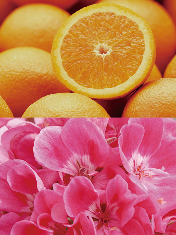 B02フラワーオレンジ