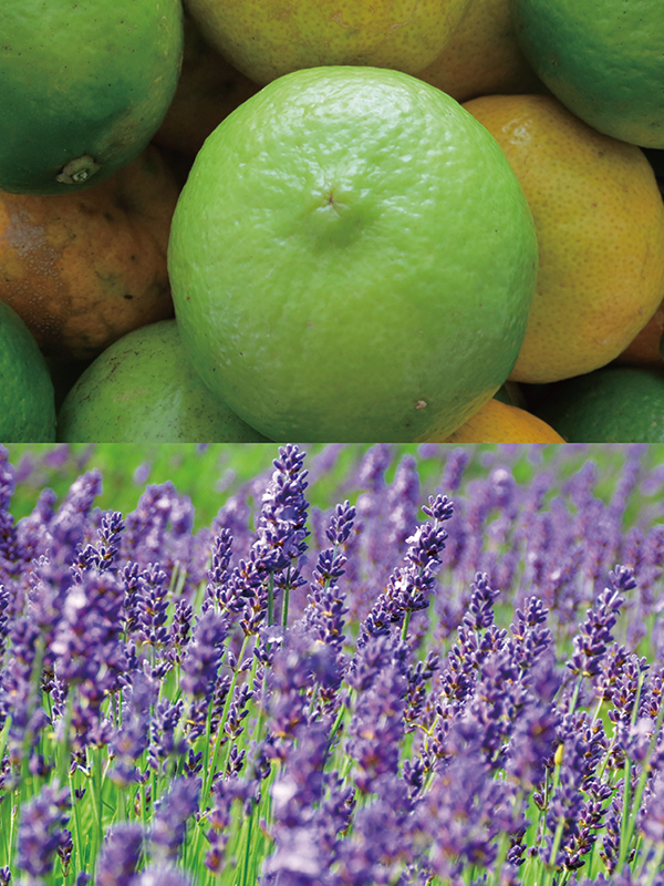 B07 ベルガモットラベンダー