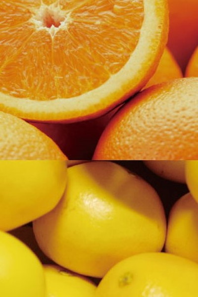 B01 オレンジグレープフルーツ