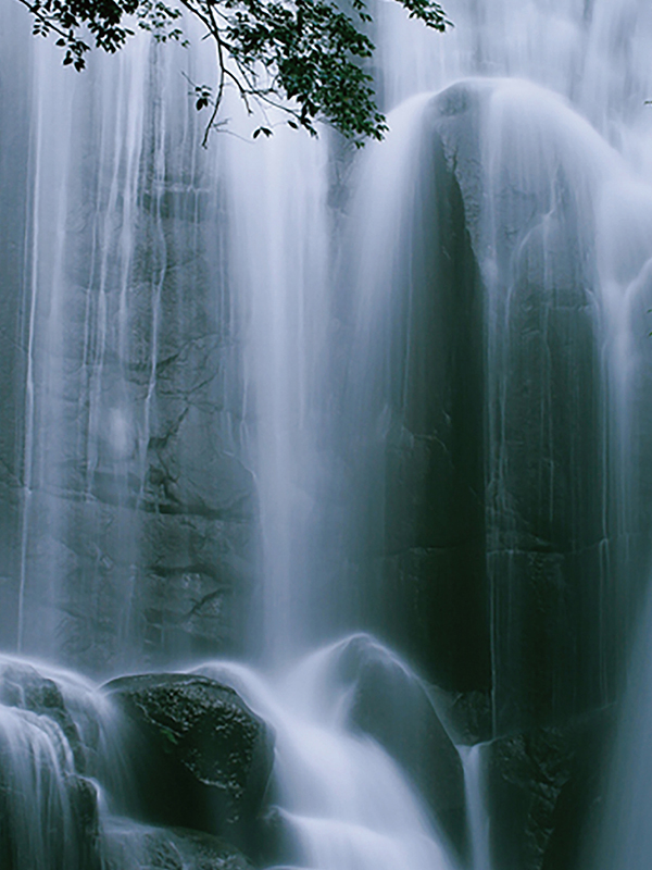 C05 クールフィール