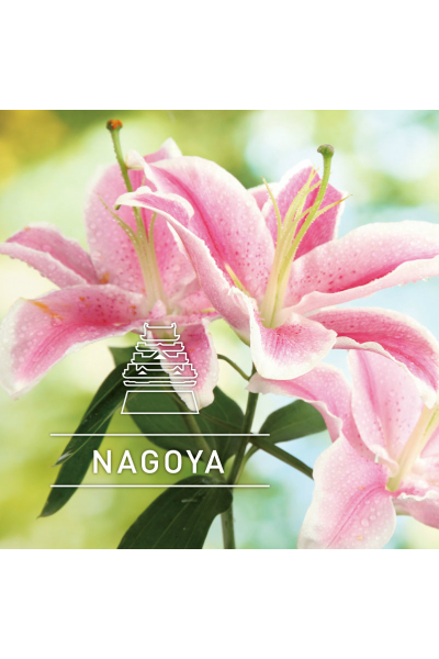 City series 名古屋(NAGOYA)