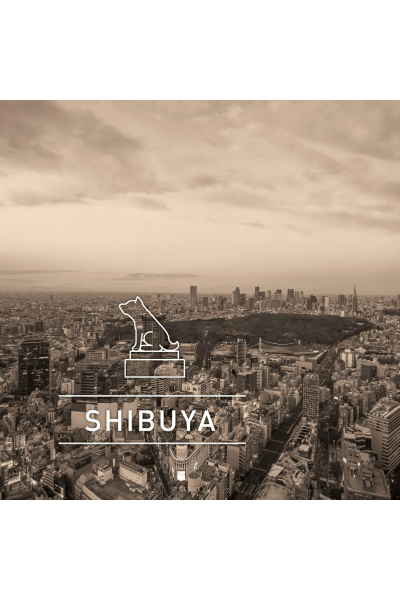 City series 渋谷(SHIBUYA)