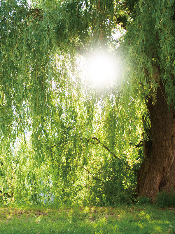 CITY series 高輪(TAKANAWA) #02