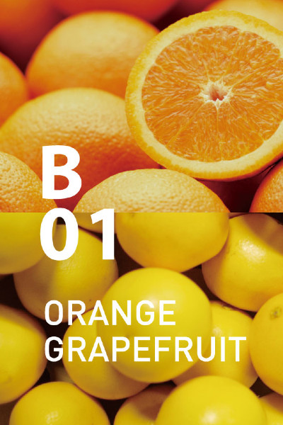 B01 オレンジグレープフルーツ