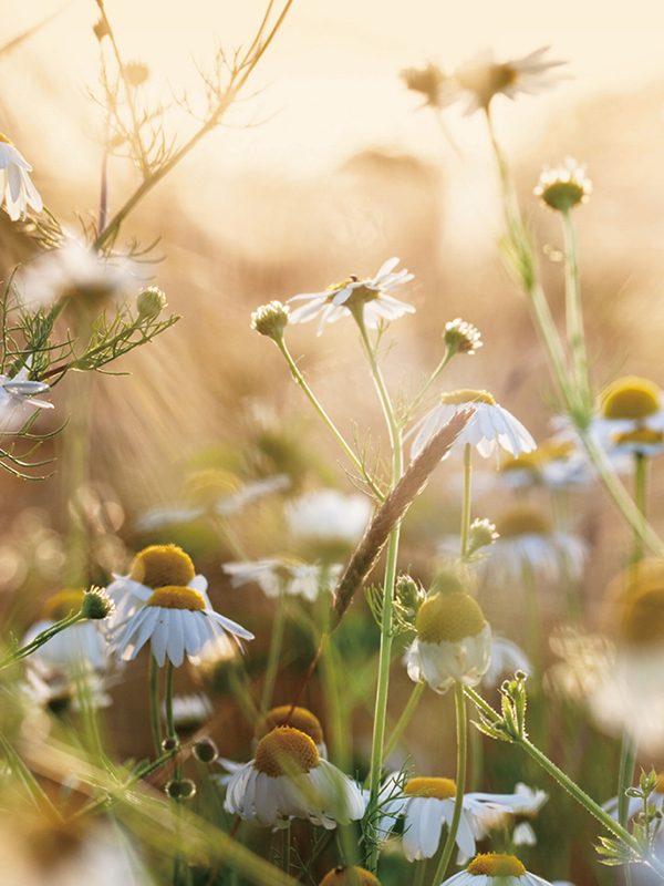 S04 リラックス&ビューティー
