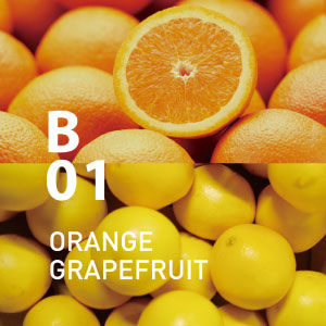 オレンジの香りと効能・使い方 | アロマ専門通販サイト | アットアロマ