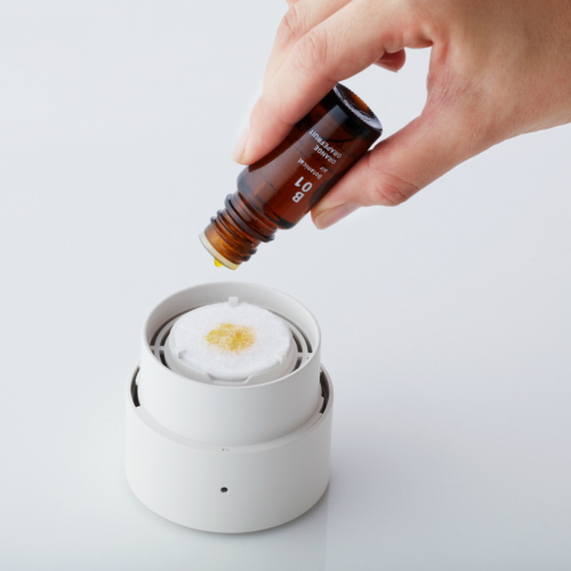 福袋2026 コウ スターターセット