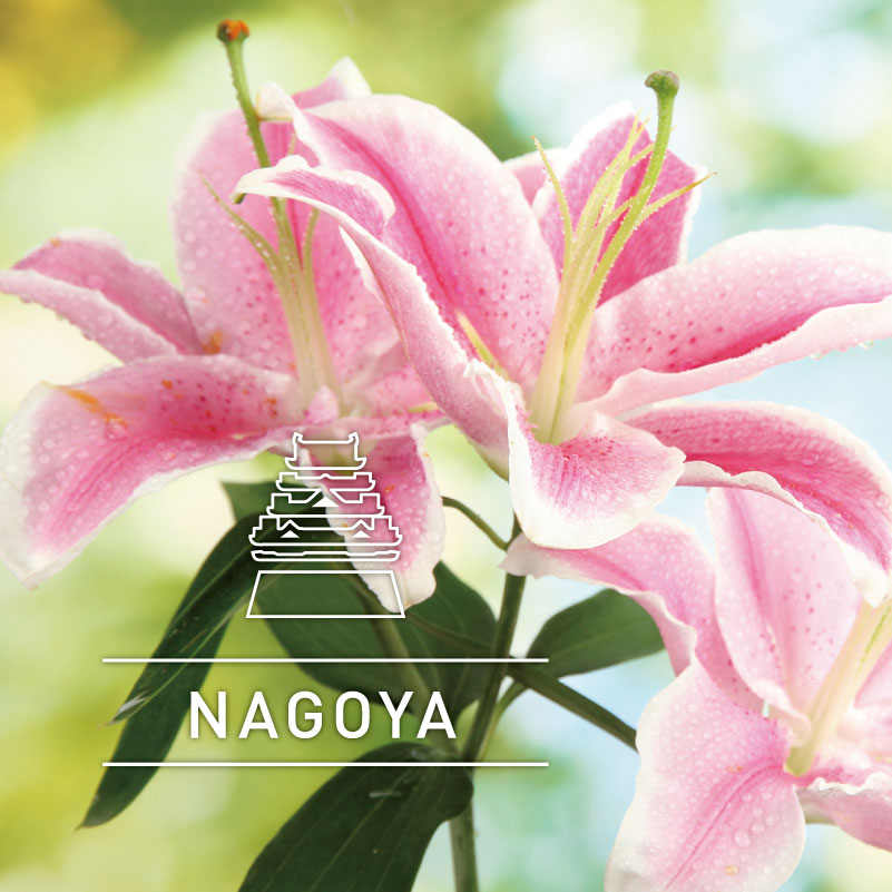 City series 名古屋(NAGOYA) 450ml
