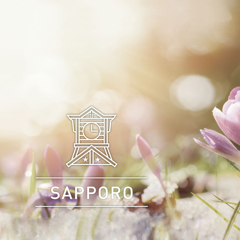 City series 札幌(SAPPORO) 250ml