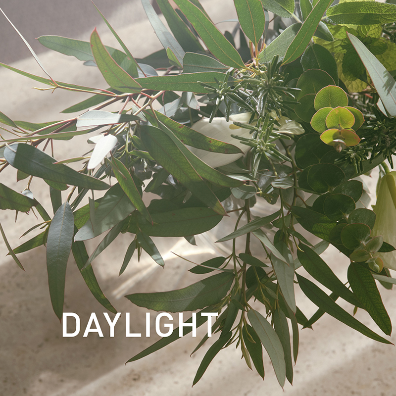 SPRING MOMENT デイ＆トワイライト セット