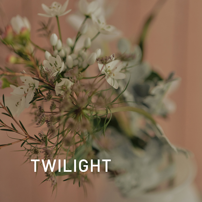 SPRING MOMENT トワイライト 10ml