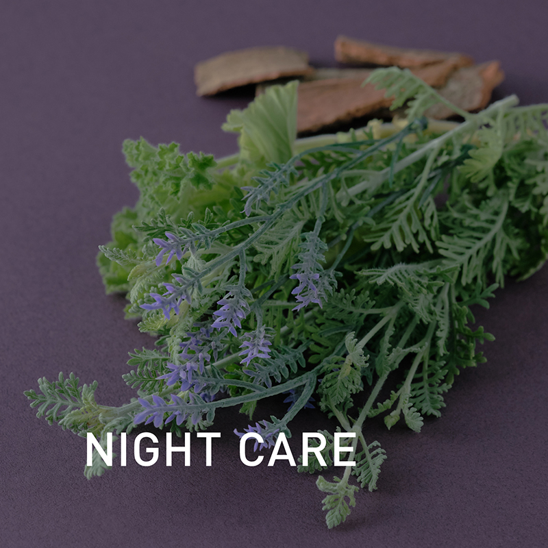 ロールオンフレグランス 頭痛ーるアロマ デイリー＆ナイトケア セット