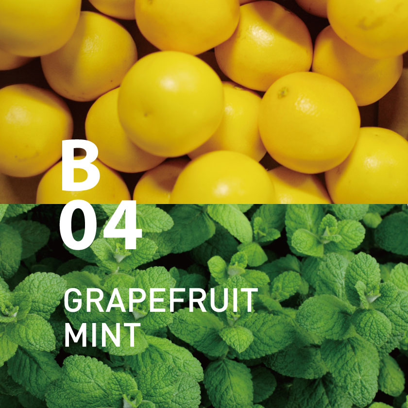 セール価格 公式 アットアロマ B04 グレープフルーツミント ブランチ スティックディフューザー専用アロマオイル 450ml 送料込 超目玉 Arnabmobility Com