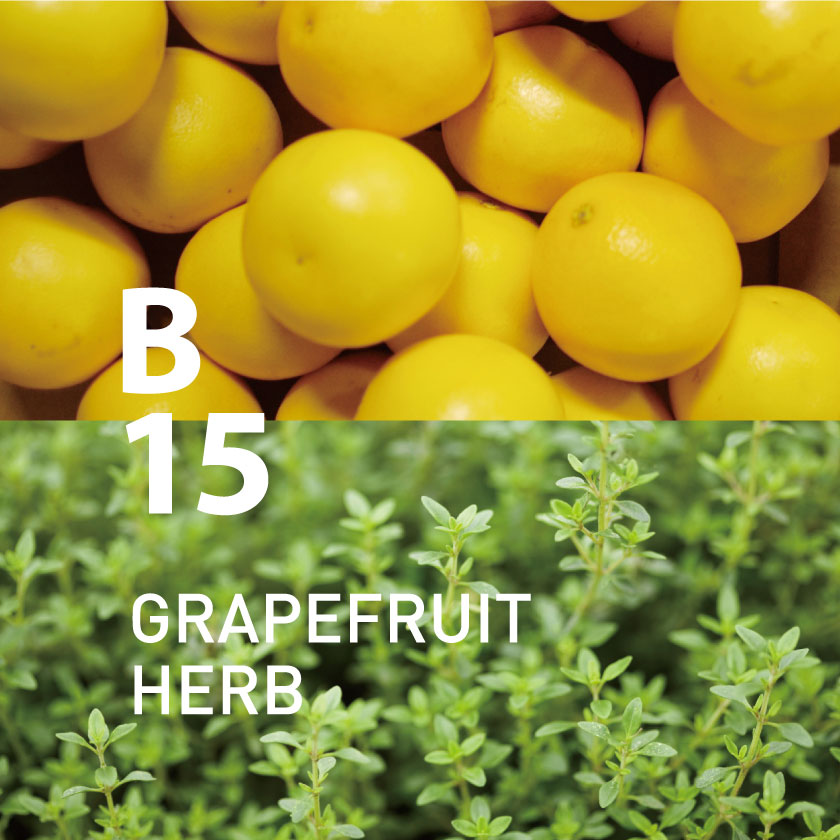 B15 グレープフルーツハーブ 450mlの通販 Cat Oil アットアロマ アロマ専門通販サイト アットアロマ オンラインストア