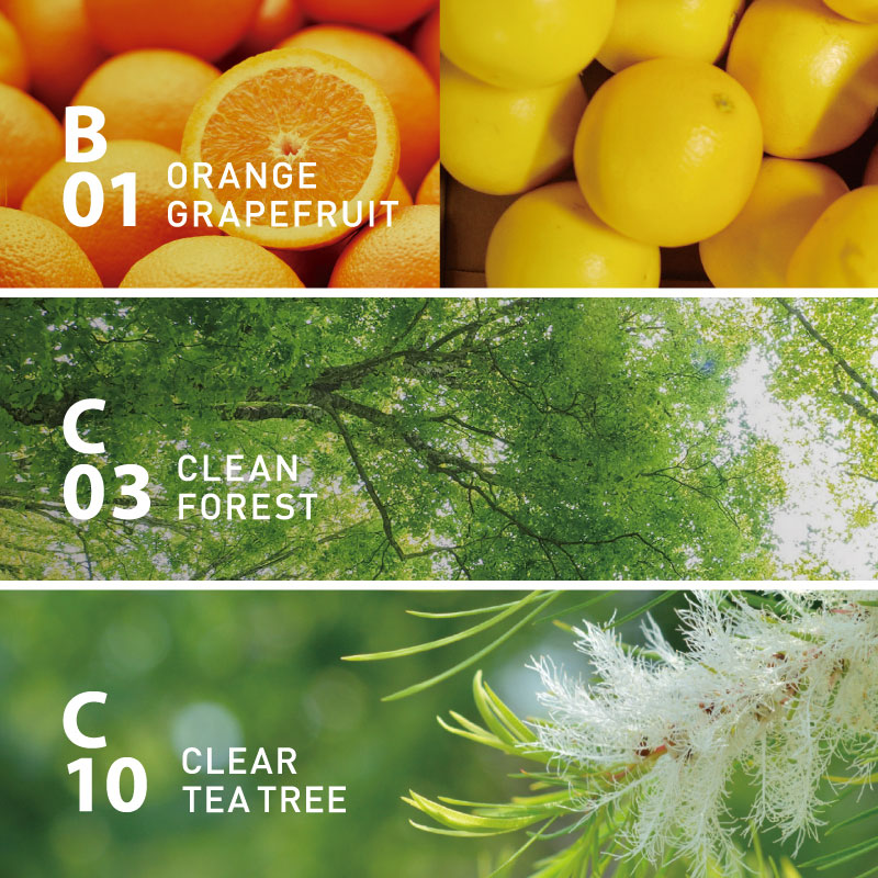 選べるセレクトオイルセット