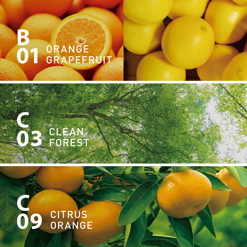 選べるセレクトオイルセット