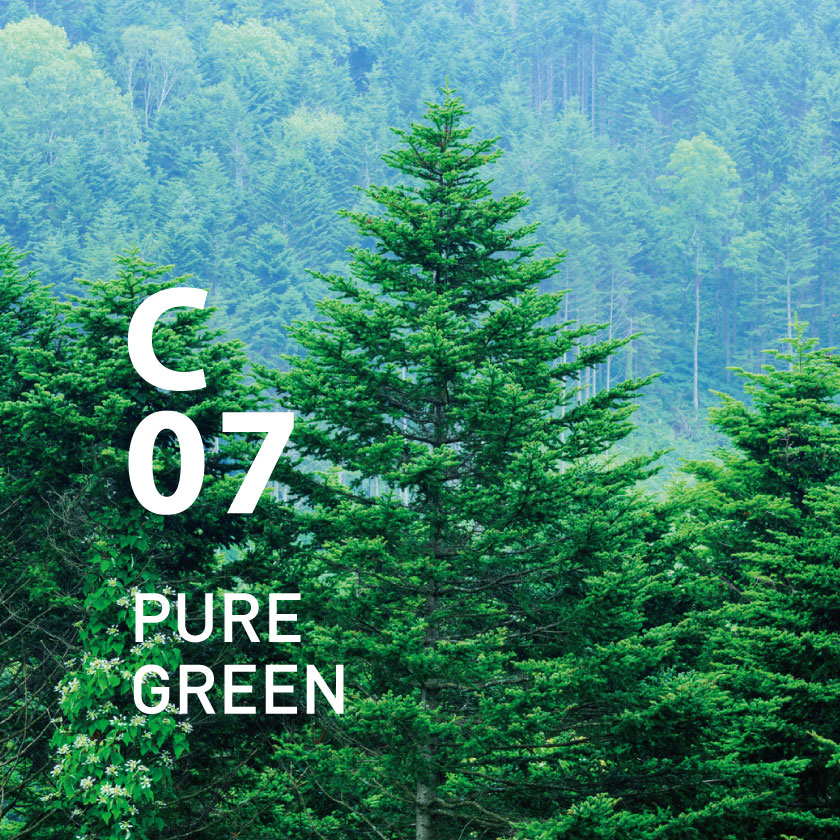 【定期購入・毎月】C07 ピュアグリーン ピエゾアロマオイル 100ml
