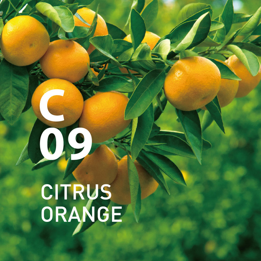 【定期購入・毎月】C09 シトラスオレンジ ピエゾアロマオイル 100ml