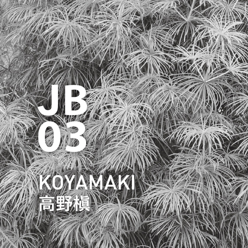 【定期購入・隔月】JB03 高野槇 ピエゾアロマオイル 100ml