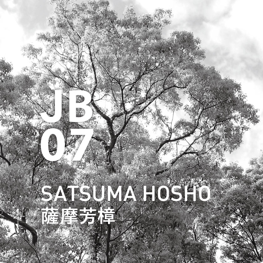【定期購入・毎月】JB07 薩摩芳樟 250ml