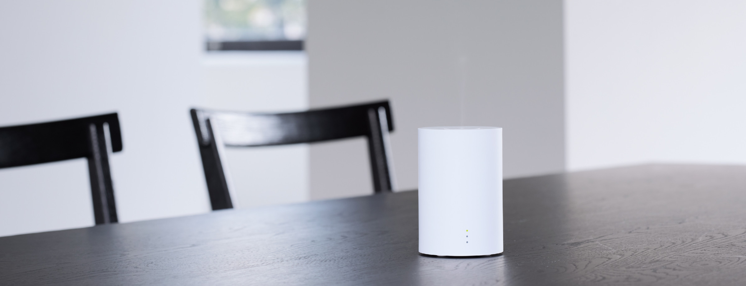 nebulizing diffuser one