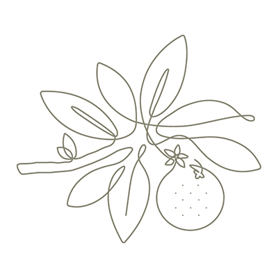 for food PETITGRAIN