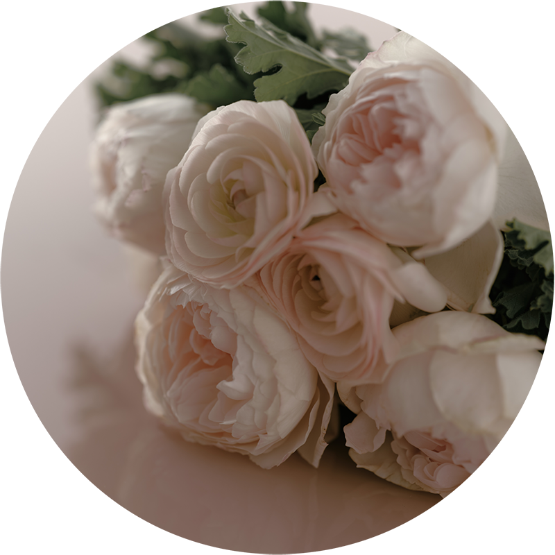 PINK ROSE