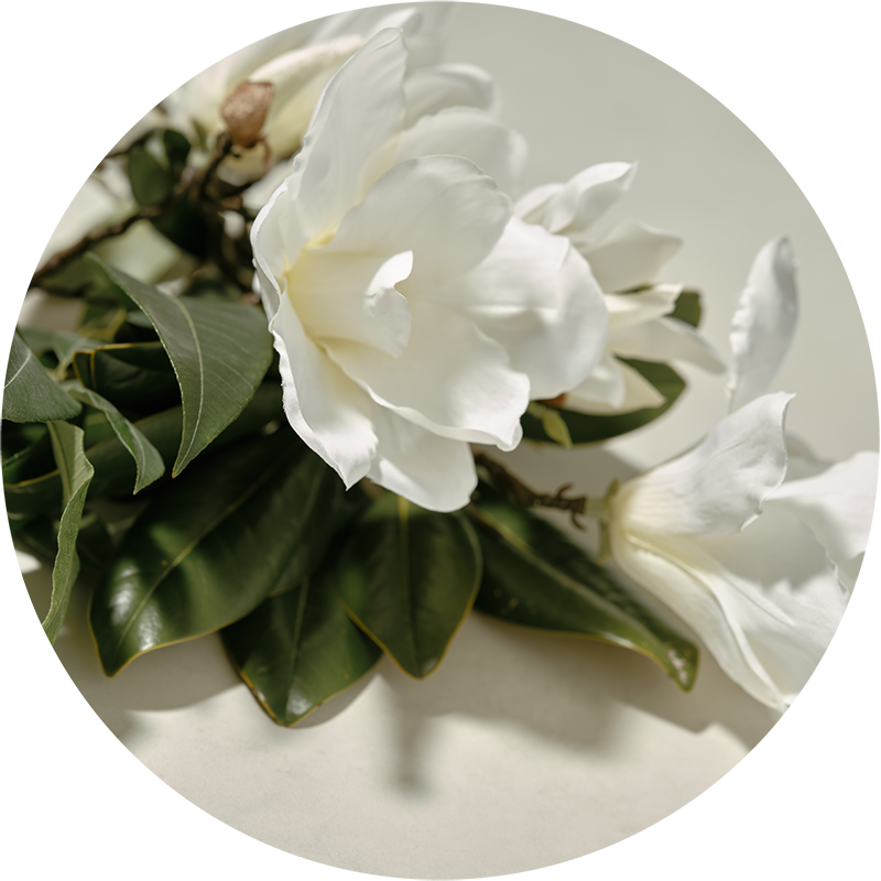 WHITE MAGNOLIA