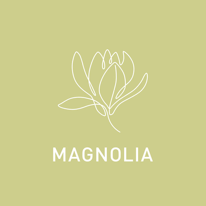 MAGNOLIA イラスト