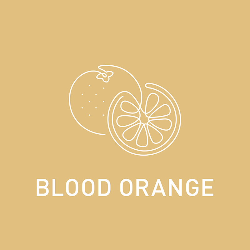 BLOOD ORANGE イラスト